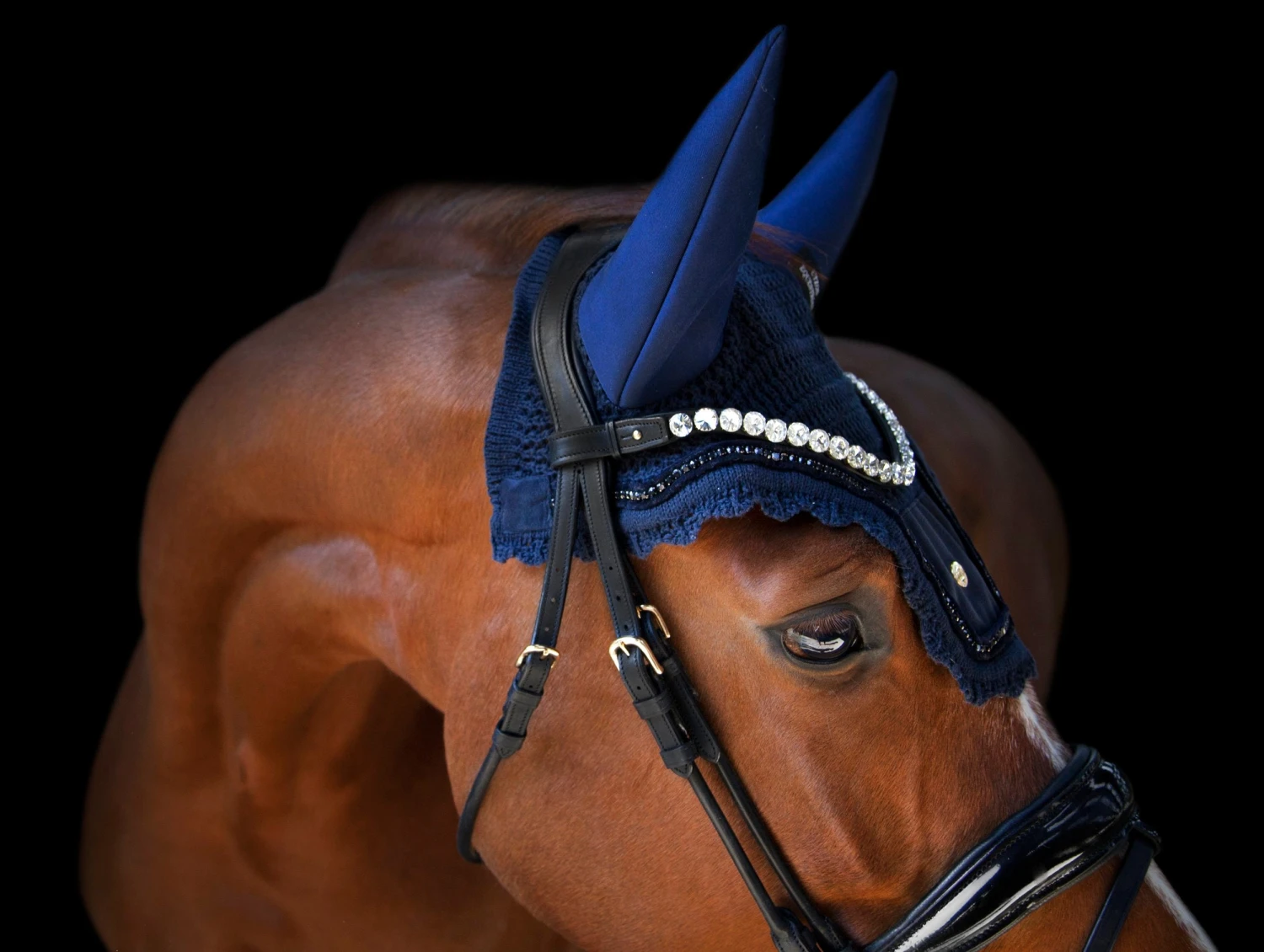 Utzon Equestrian Empire Browband Clear - Image 2