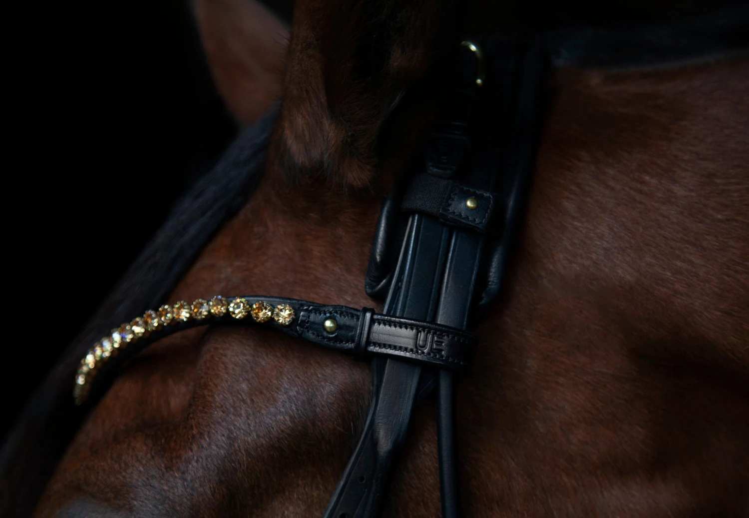 Utzon Equestrian Elegant Browband Gold - Image 2