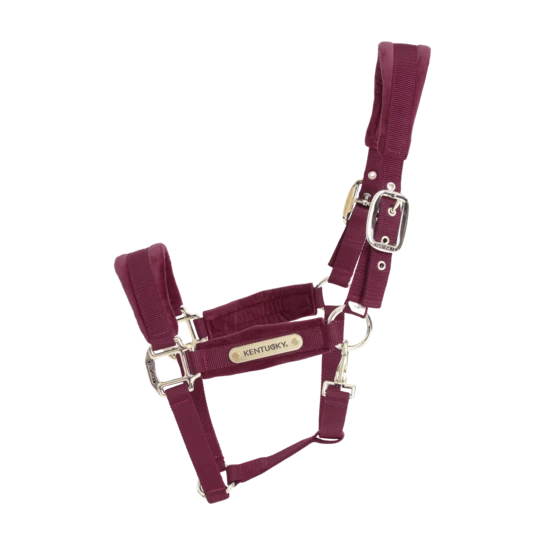 Kentucky Horsewear Velvet Halter Bordeaux - Image 4