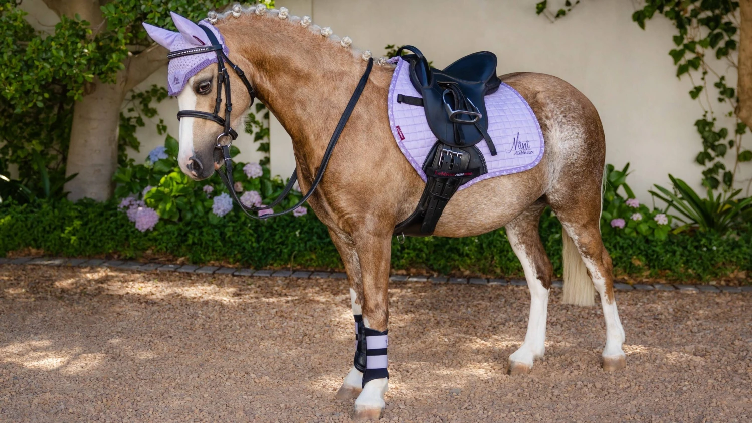 LeMieux Mini Jump Saddle Pad Wisteria - Image 2