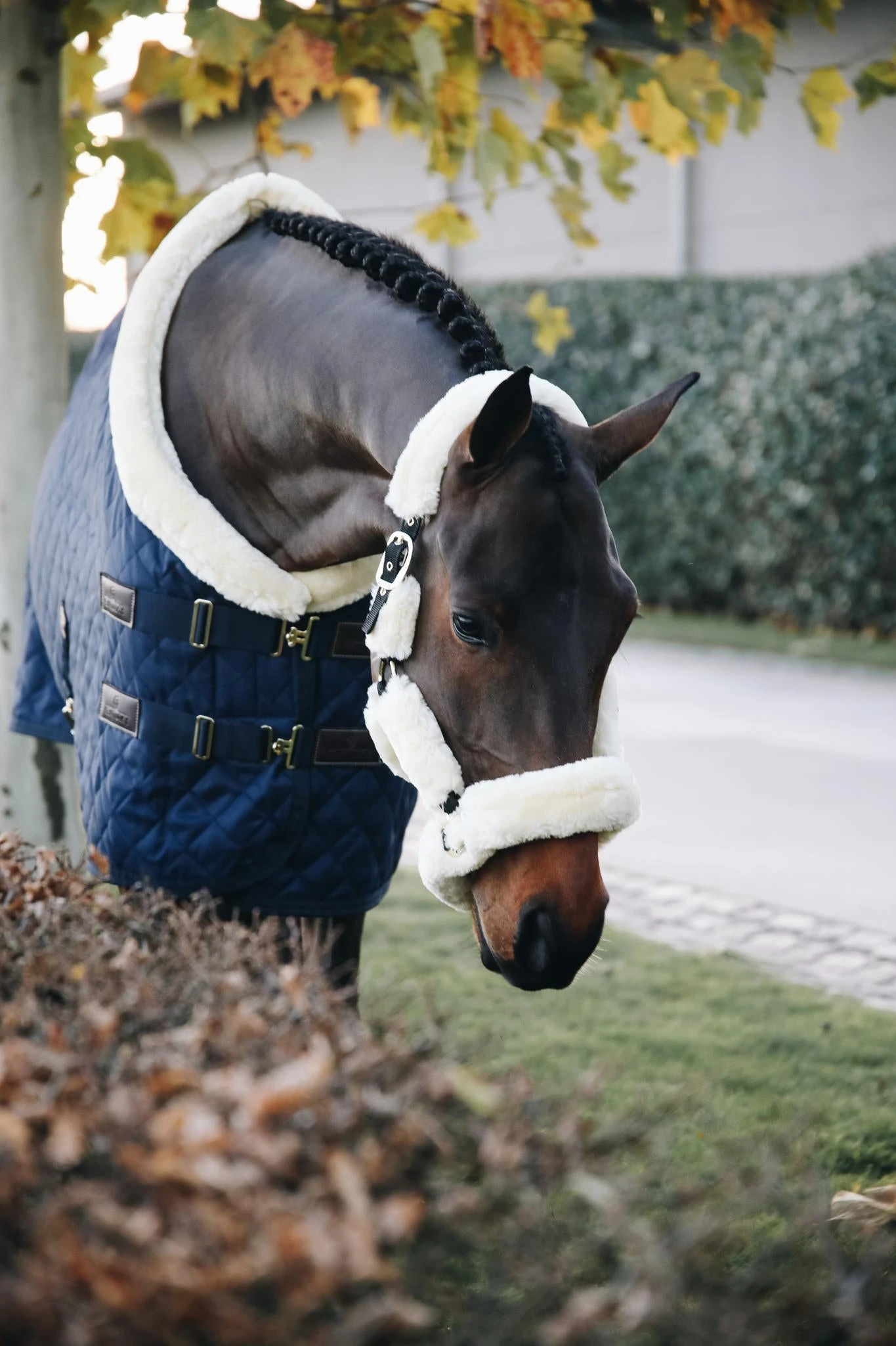 Kentucky Sheepskin Shipping Halter Natural - Image 2