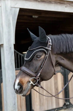 Kentucky Wellington Big Stone & Pearl Ear Bonnet Black