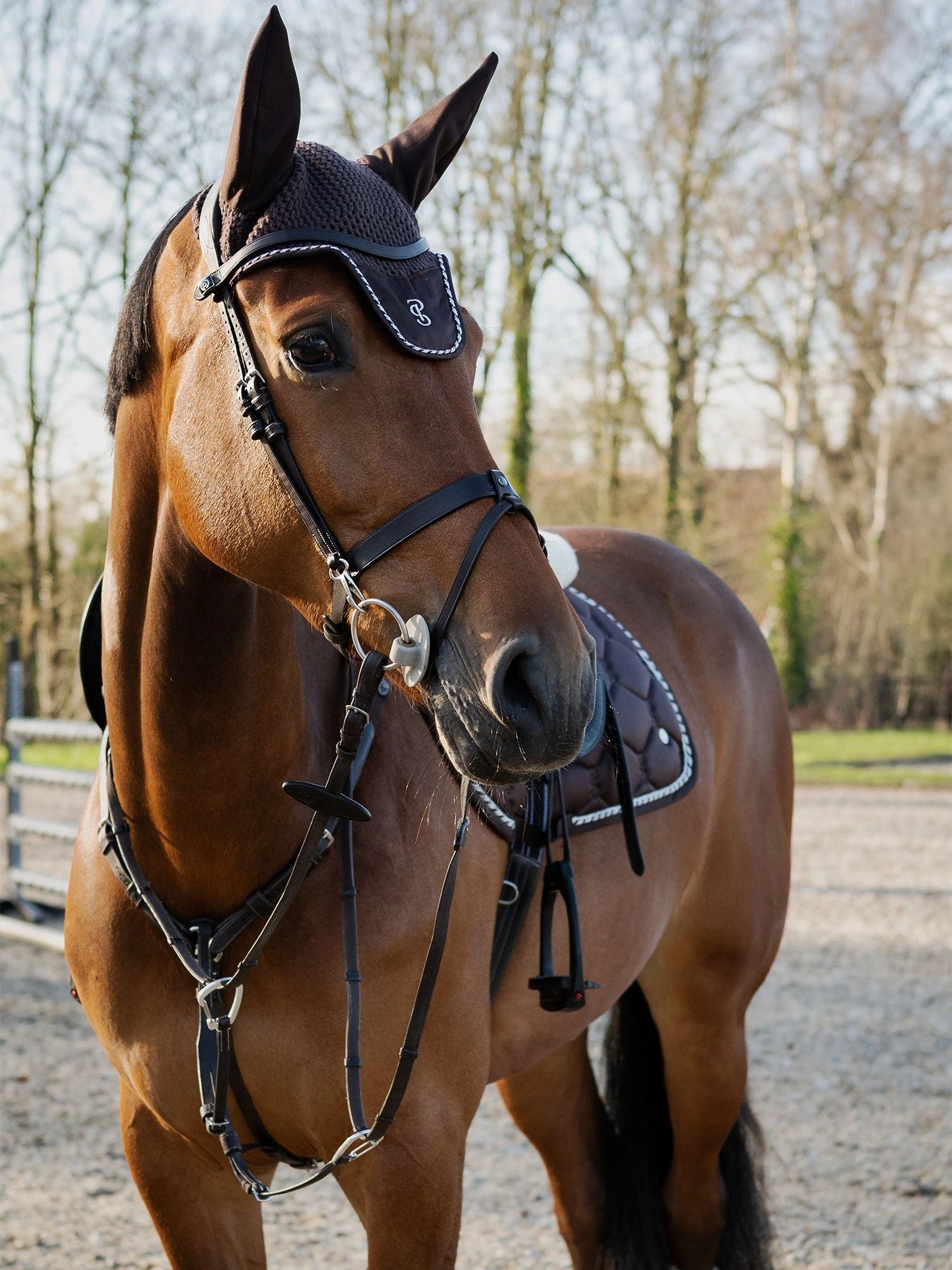 PS Of Sweden Signature Jump Saddle Pad Coffee - Image 3