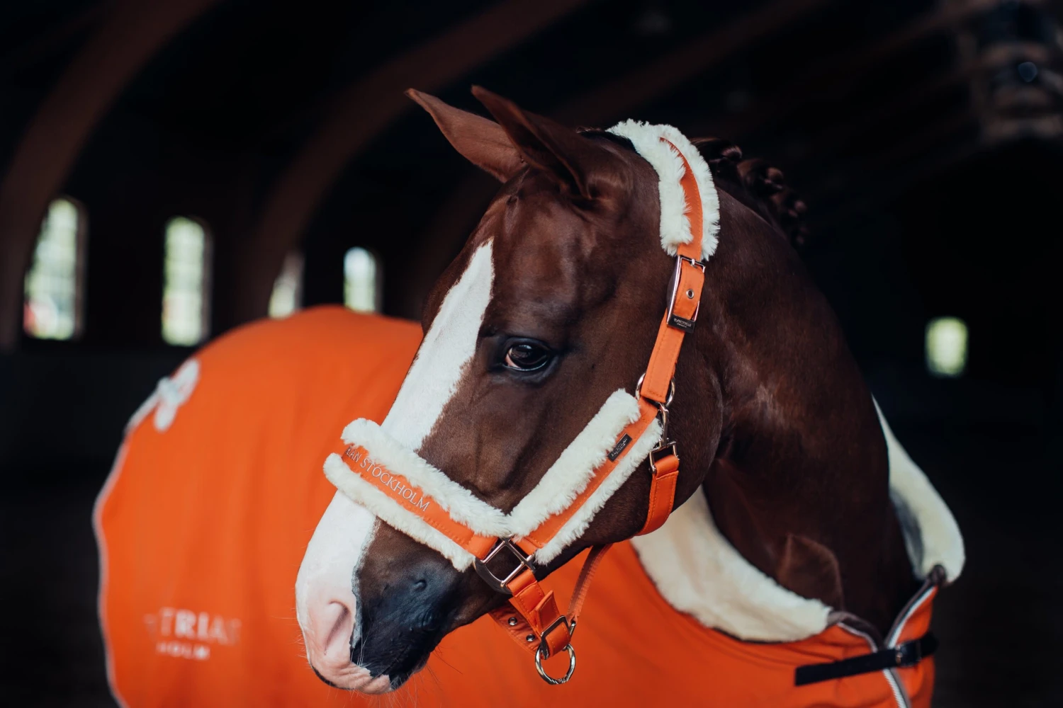 Equestrian Stockholm Fleece Headcollar & Lead Brick Orange - Image 2