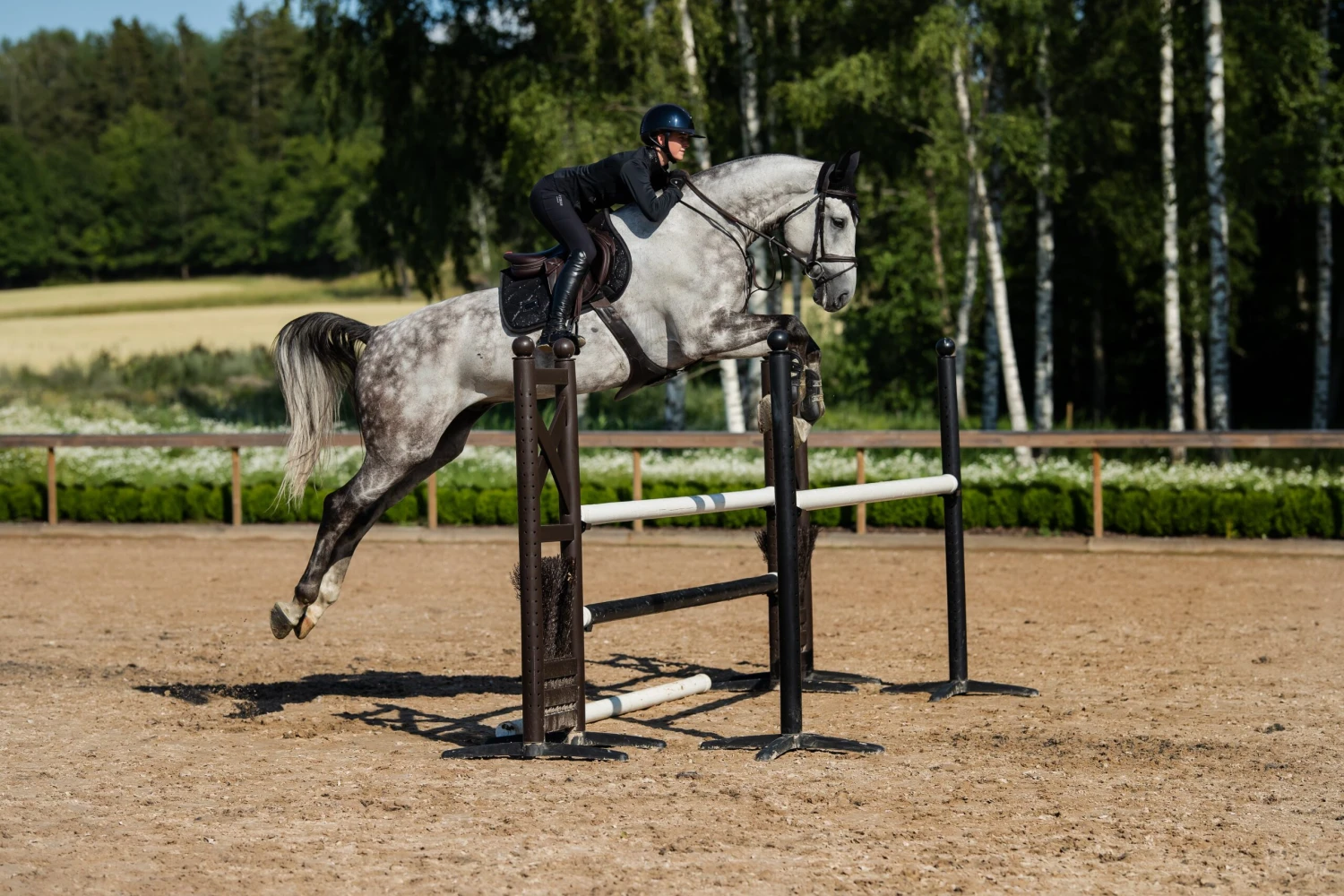 Equestrian Stockholm Jump Saddle Pad All Black Glimmer - Image 3