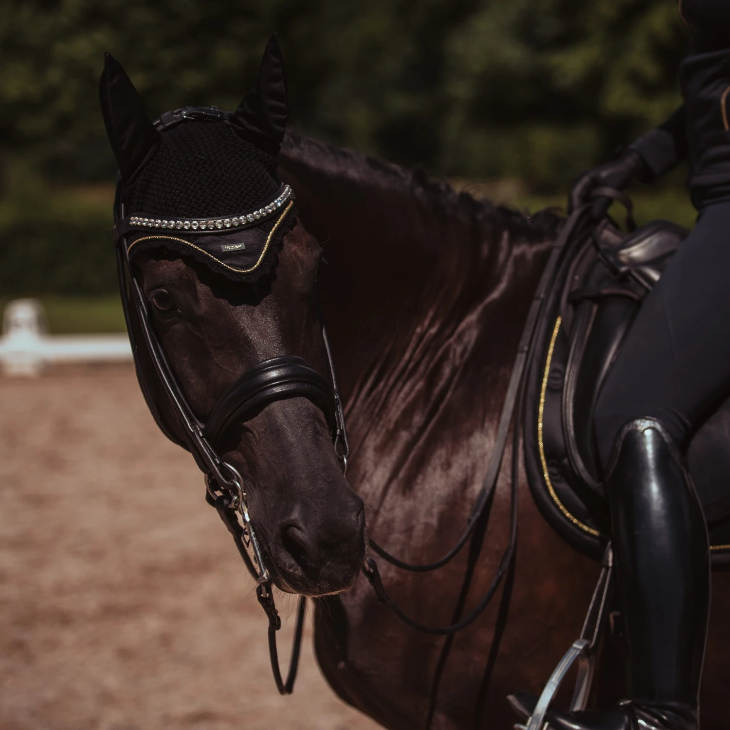 Equestrian Stockholm Ear Bonnet Black Gold