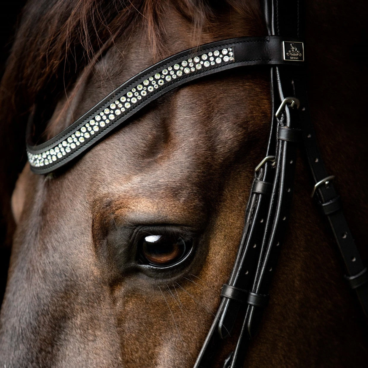 SD Design Bijou Browband Clear - Image 2