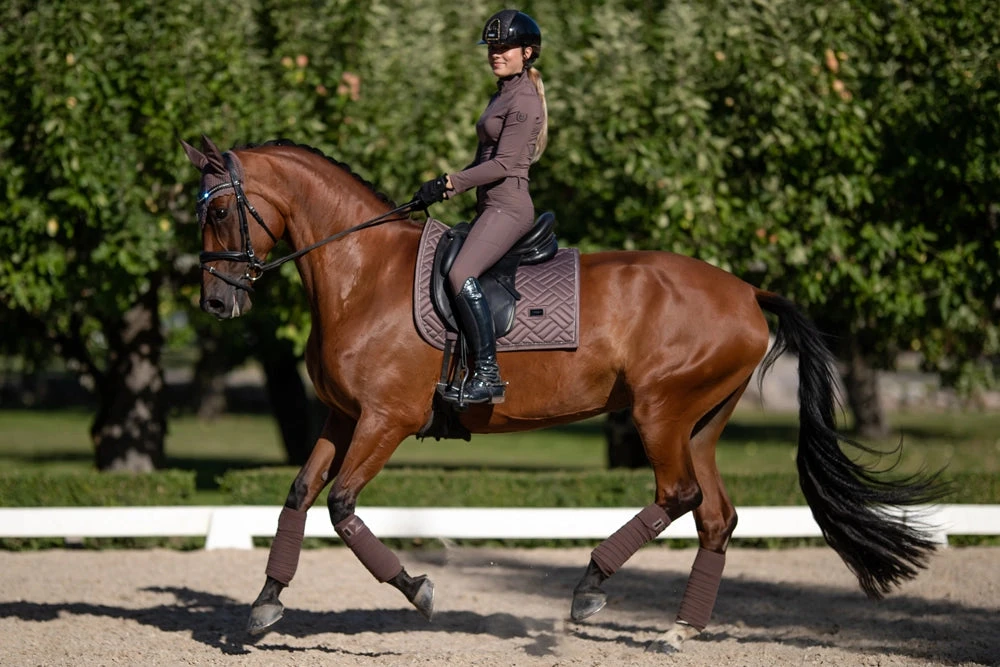 Equestrian Stockholm Vision Base Layer Amaranth - Image 4