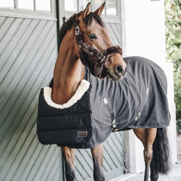 Kentucky Winter Horse Bib Black - Image 2