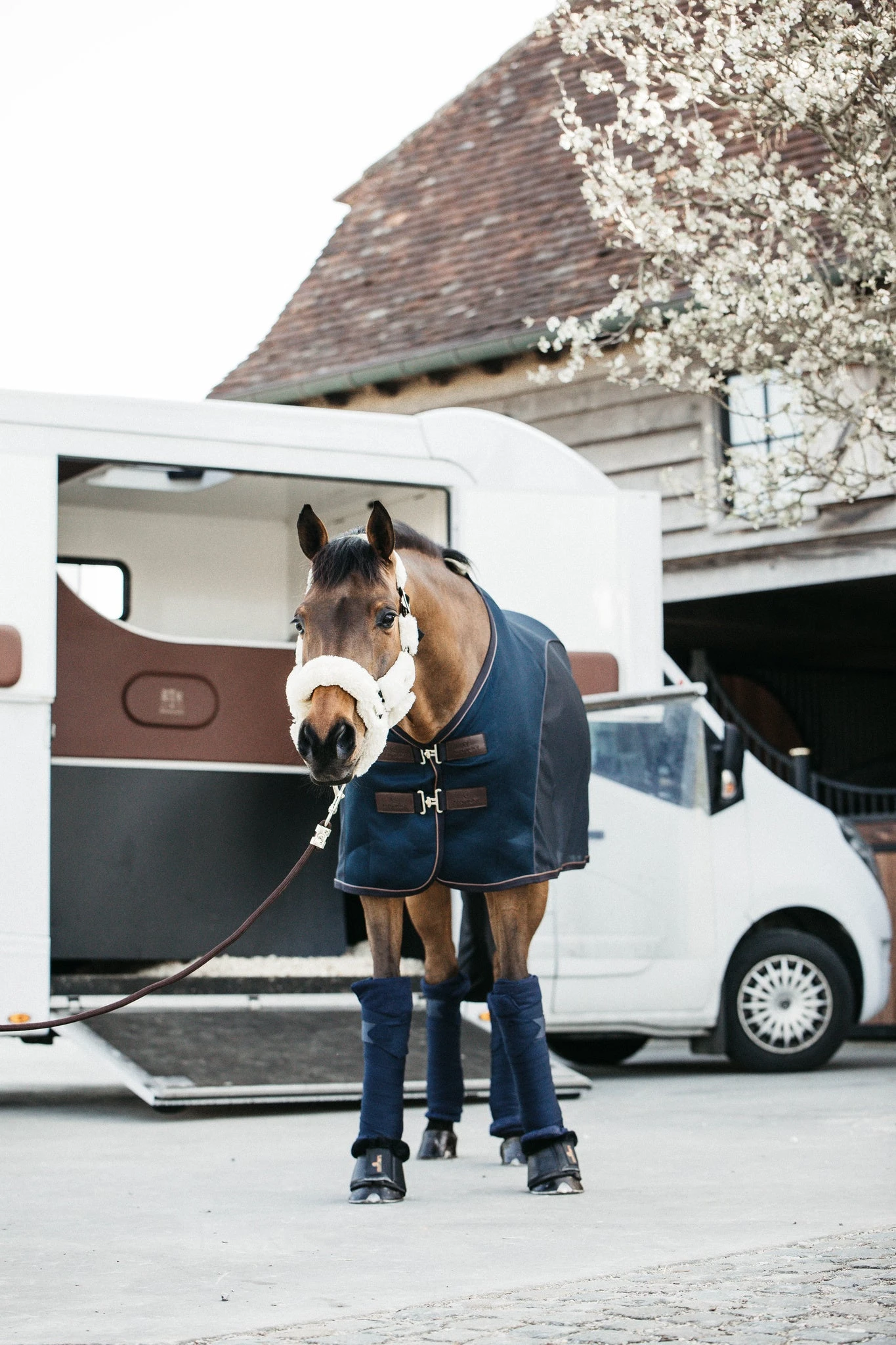 Kentucky Sheepskin Shipping Halter Natural - Image 4