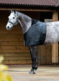 LeMieux Anti Rub Bib