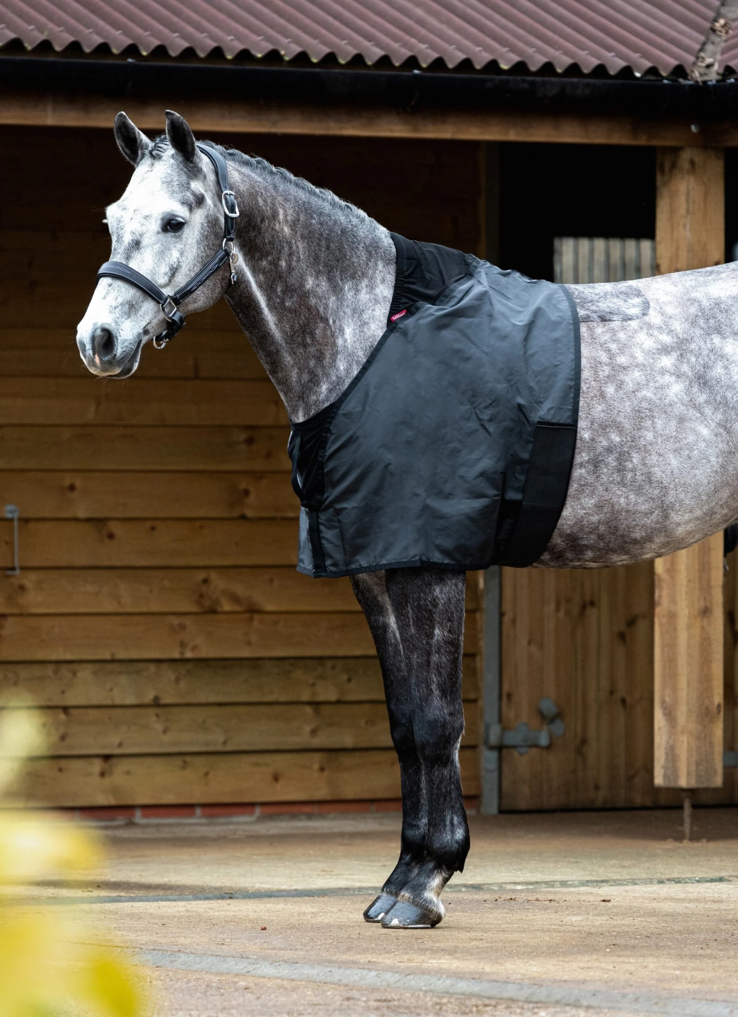 LeMieux Anti Rub Bib