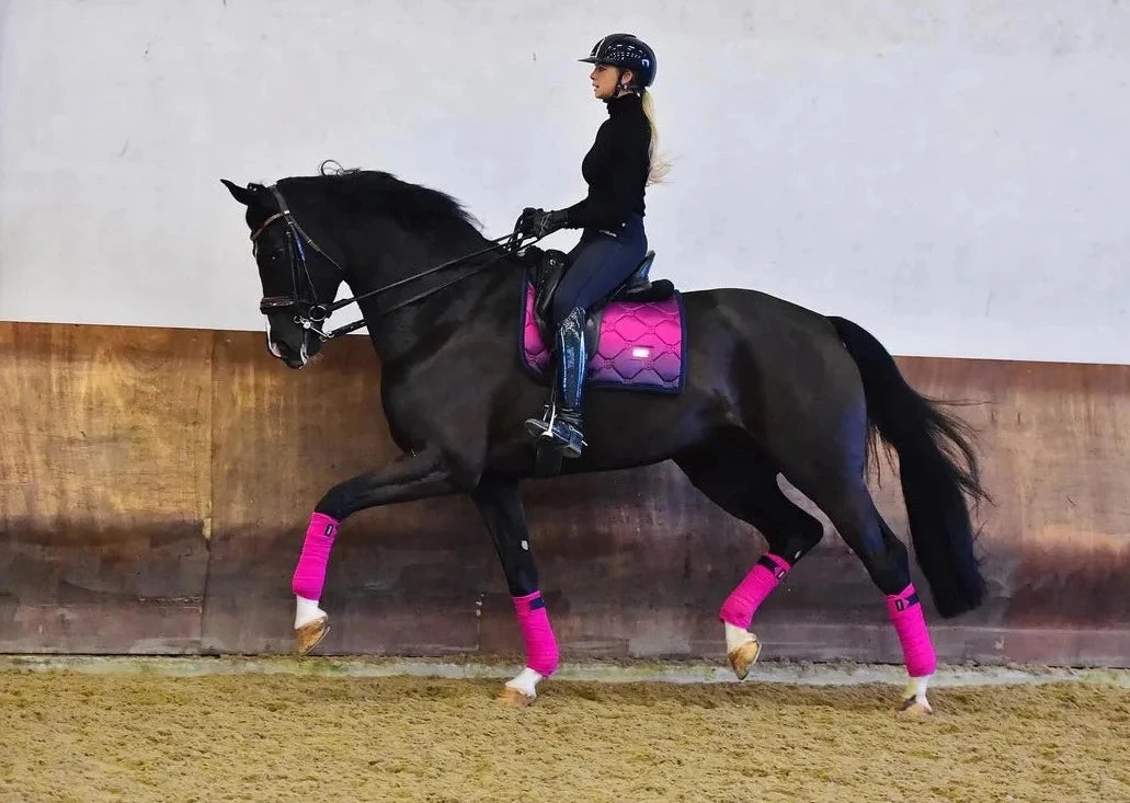 Equestrian Stockholm Dressage Saddle Pad Faded Fuchsia
