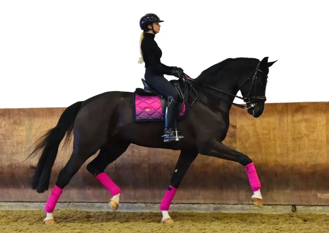 Equestrian Stockholm Dressage Saddle Pad Faded Fuchsia - Image 2