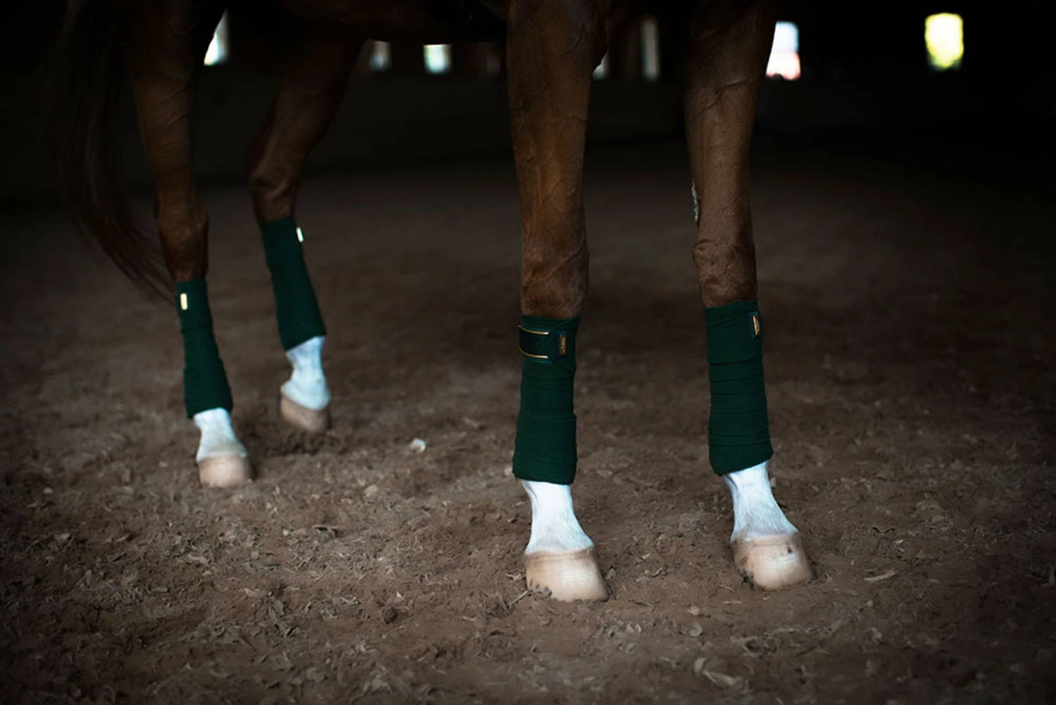 Equestrian Stockholm Bandages Forest Green - Image 4