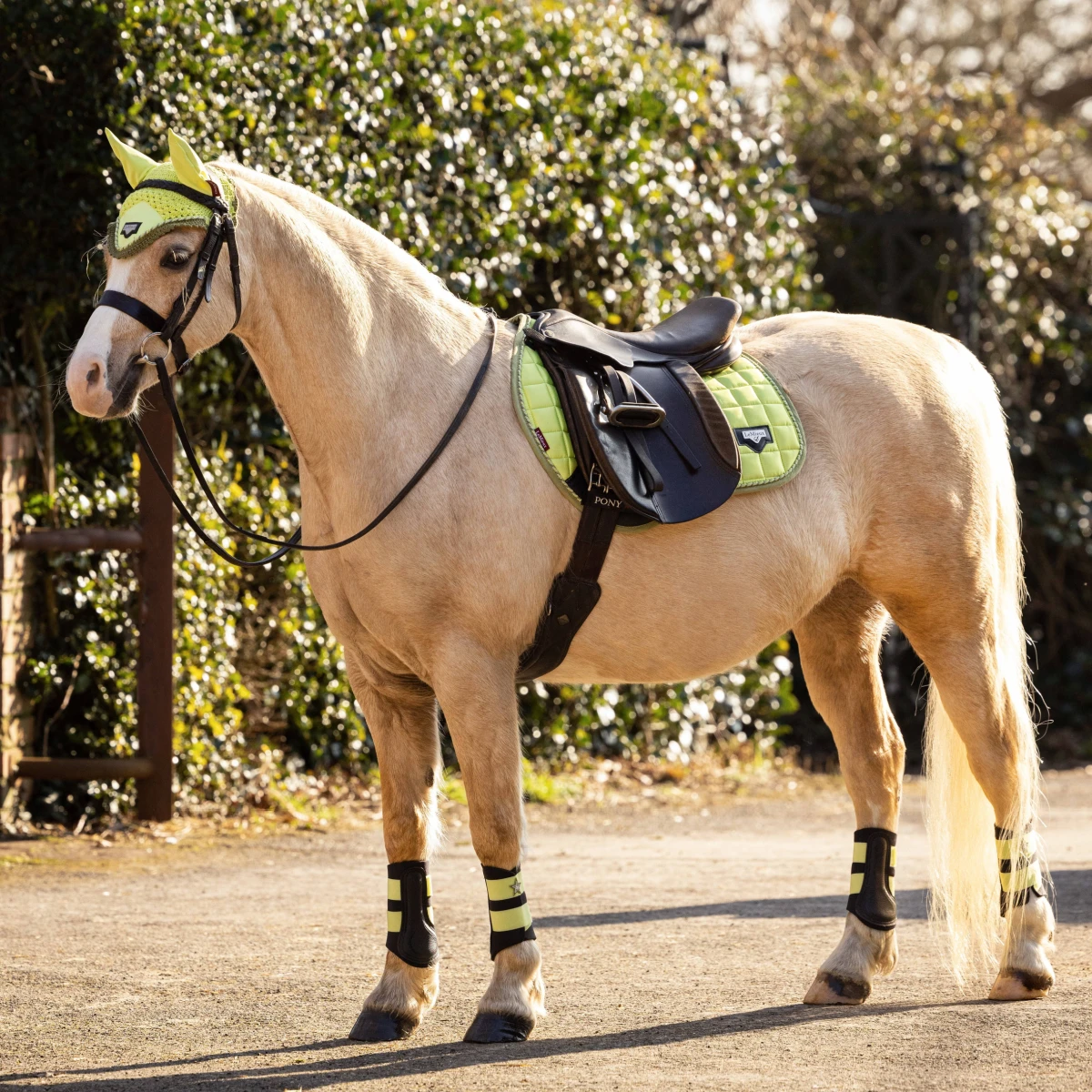 LeMieux Junior Loire Ear Bonnet Kiwi - Image 3