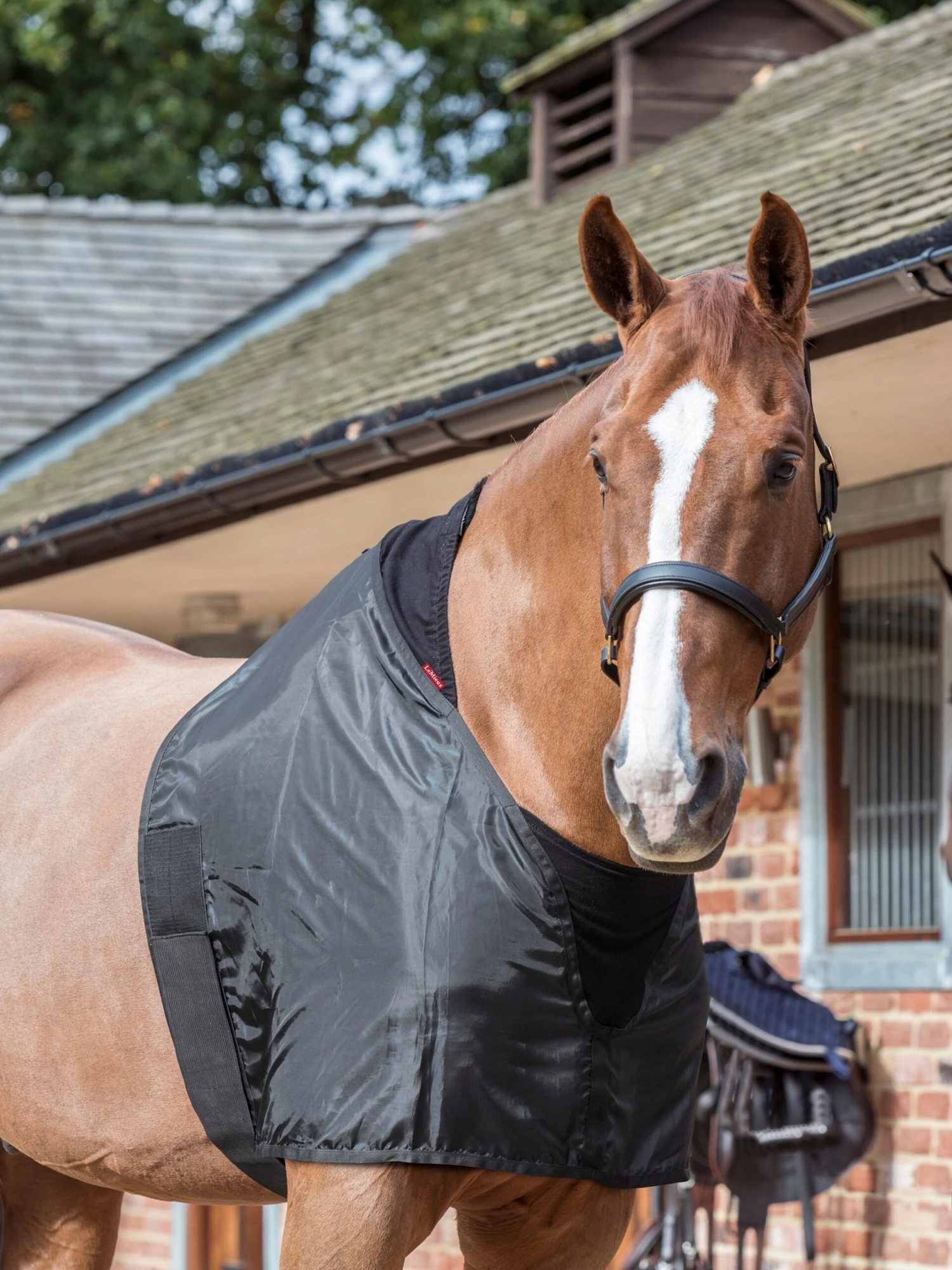 LeMieux Anti Rub Bib - Image 3