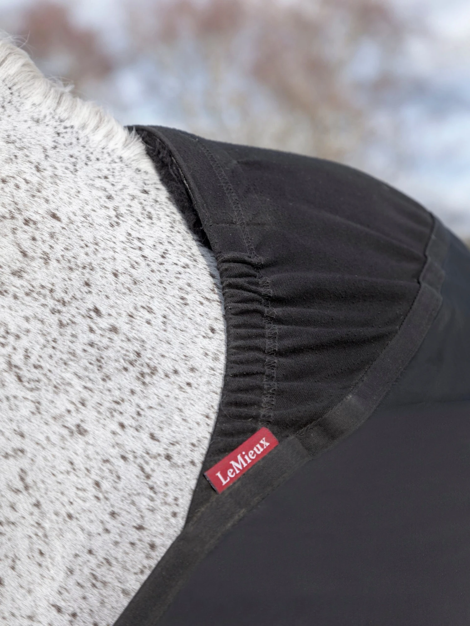 LeMieux Anti Rub Bib - Image 4