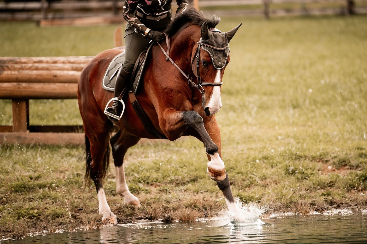 PS Of Sweden Cotton Signature Jump Saddle Pad Forest Green - Image 2