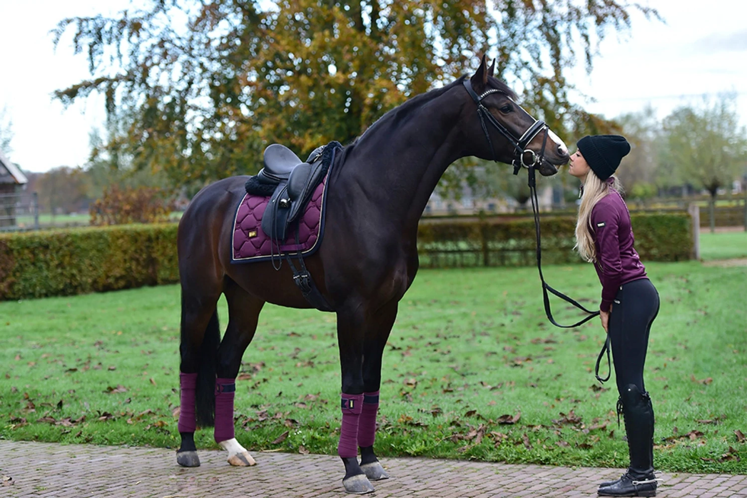 Equestrian Stockholm Bandages Purple Gold - Image 5