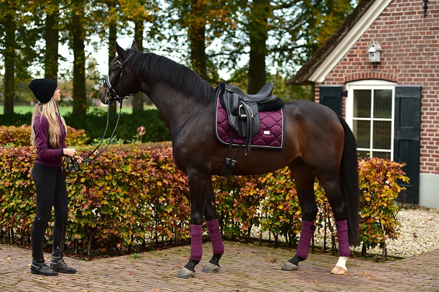 Equestrian Stockholm Bandages Purple Gold - Image 4