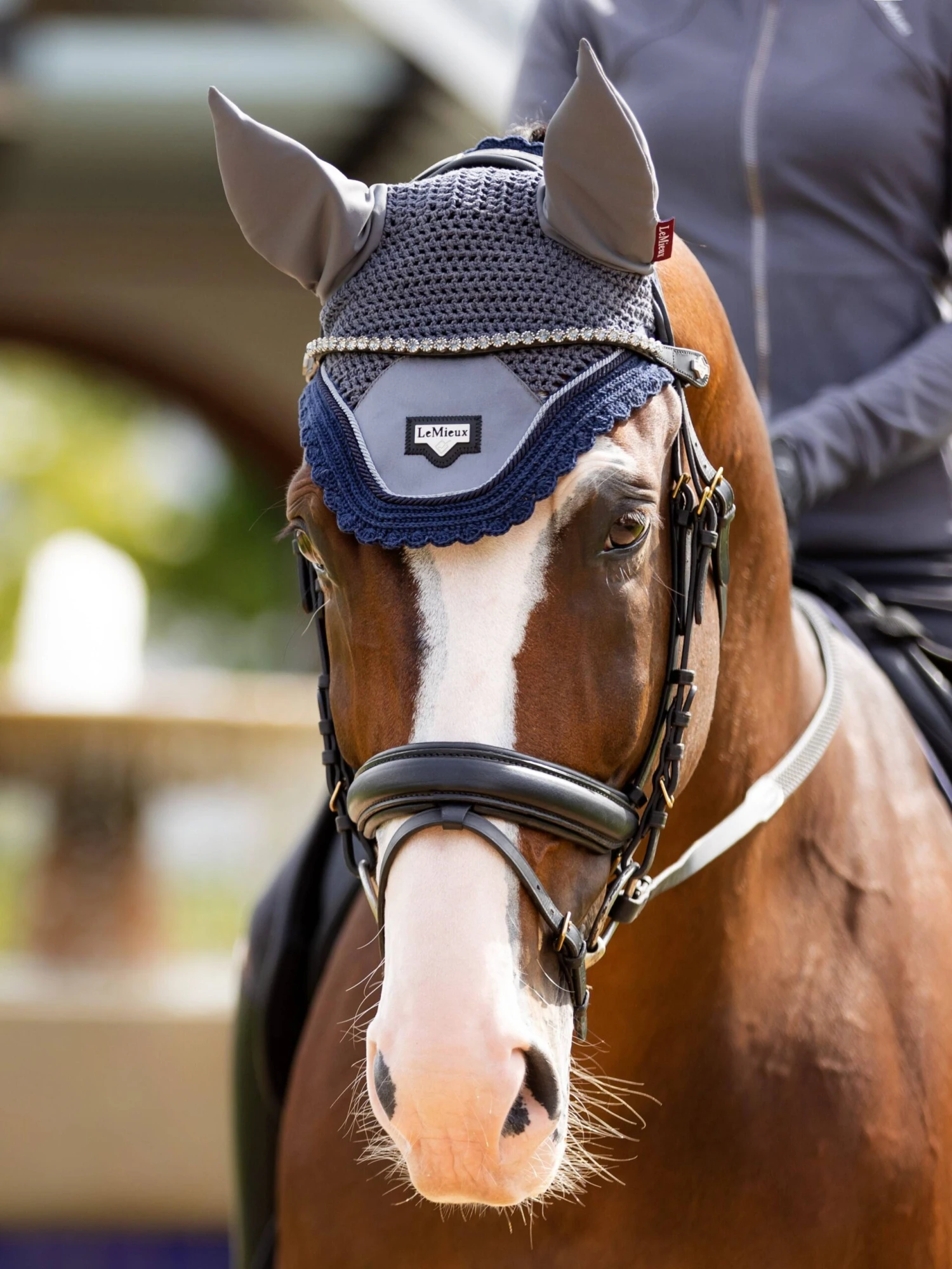 LeMieux Classic Browband Twilight - Image 2